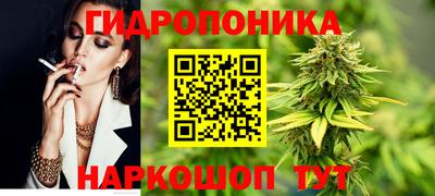 стаф Северобайкальск